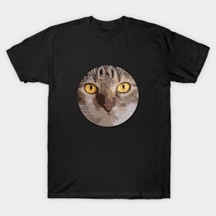 cat regard T-Shirt